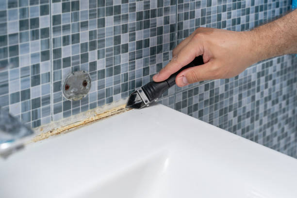 Best Mold Removal Near Me  in Ladue, MO